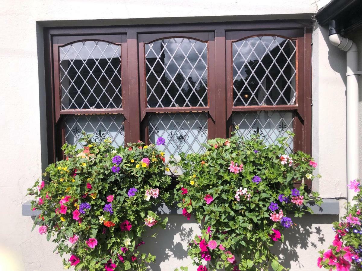 Chester Beatty Inn Ashford Buitenkant foto
